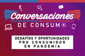 SERNAC encabeza reflexión sobre desafíos y oportunidades pro consumidor en pandemia SERNAC encabeza reflexión sobre desafíos y oportunidades pro consumidor en pandemia