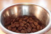 Hasta casi $2 millones deberá compensar LDA a dueños de mascotas que sufrieron por consumir alimentos Cannes y Charly Hasta casi $2 millones deberá compensar LDA a dueños de mascotas que sufrieron por consumir alimentos Cannes y Charly