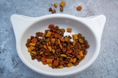 SERNAC exigirá compensaciones para dueños de gatos afectados por lotes de alimentos "Master Cat Gatitos" SERNAC exigirá compensaciones para dueños de gatos afectados por lotes de alimentos "Master Cat Gatitos"