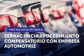 SERNAC inicia procedimiento compensatorio con empresa automotriz por filtración de datos personales