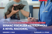 Fiscalización a veterinarias: 7 de cada 10 no mantienen una lista de precios visible