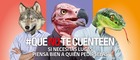 Imagen de la campaña #QUENOTECUENTEEN