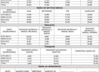 tabla-comparativa-de-gastos-de-un-presupuesto-familiar-2012-segun-item-y-grupo-socioeconomico