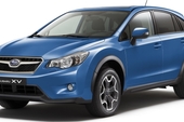 FORESTER4_ FORESTER4_