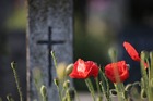 SERNAC de Valparaíso ofició a Cementerio Parque del Consuelo por diversos incumplimientos SERNAC de Valparaíso ofició a Cementerio Parque del Consuelo por diversos incumplimientos
