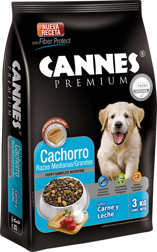 Cannes Cachorro