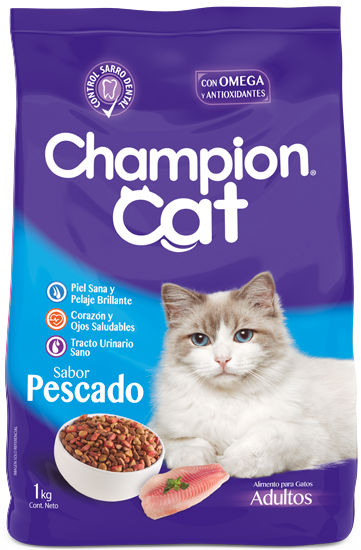 Alerta de Seguridad: Alimento para mascotas Champion Cat Gatitos y Adulto Seco, años 2020-2021