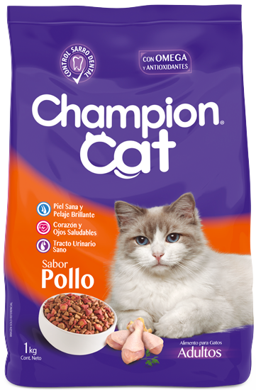 Alerta de Seguridad: Alimento para mascotas Champion Cat Gatitos y Adulto Seco, años 2020-2021