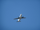 Novedades sobre la demanda colectiva en contra de American Airlines Novedades sobre la demanda colectiva en contra de American Airlines