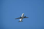 Novedades sobre la demanda colectiva en contra de American Airlines Novedades sobre la demanda colectiva en contra de American Airlines