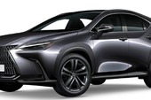 Vehículos Lexus NX, año 2022