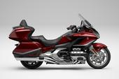 Gold Wing