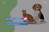 El SERNAC detectó diferencias de hasta 3.400% en el valor de una consulta para la atención de una mascota El SERNAC detectó diferencias de hasta 3.400% en el valor de una consulta para la atención de una mascota