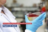 Aysén: Justicia condenó a Vida Cell por no cumplir con el servicio ofrecido Aysén: Justicia condenó a Vida Cell por no cumplir con el servicio ofrecido