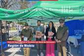 Biobío: Recomendaciones para una fiesta de Halloween segura Biobío: Recomendaciones para una fiesta de Halloween segura
