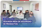 Ñuble: Segunda sesión de la Mesa Regional de Seguridad de Productos enfocada en centros de eventos infantiles