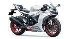 Motocicletas Kawasaki ZX-6R, años 2024 - 2025 Motocicletas Kawasaki ZX-6R, años 2024 - 2025