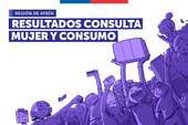 Consulta Ciudadana Mujer y Consumo Aysen