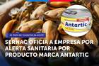 SERNAC oficia a empresa por alerta sanitaria en producto "choritos en aceite" marca Antartic