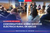 Los Lagos: SERNAC participa en conversatorio sobre servicio eléctrico rural en Ancud