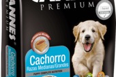 Cannes Cachorro Cannes Cachorro