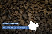 Leña seca Araucanía